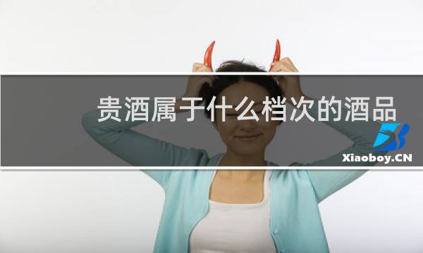 贵酒属于什么档次的酒品