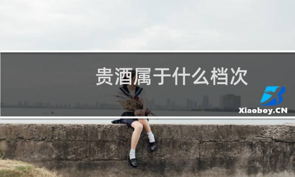 贵酒属于什么档次