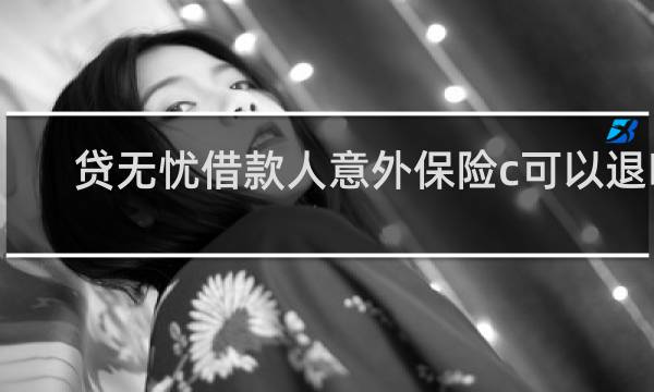 贷无忧借款人意外保险c可以退吗