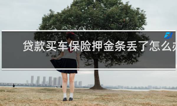 贷款买车保险押金条丢了怎么办