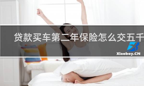 贷款买车第二年保险怎么交五千多