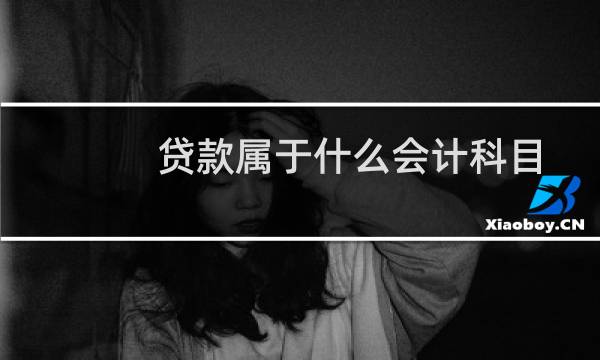 贷款属于什么会计科目