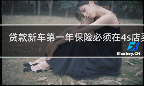 贷款新车第一年保险必须在4s店买吗