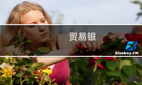 贸易银 九年 价格