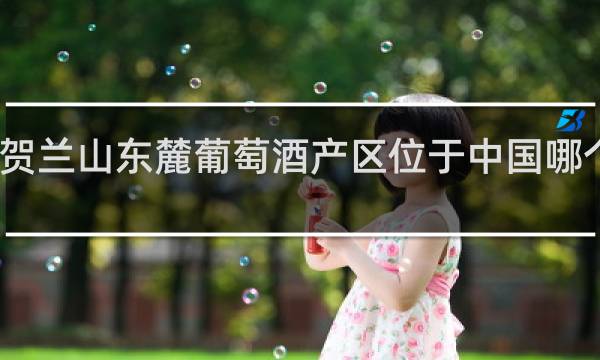 贺兰山东麓葡萄酒产区位于中国哪个省份
