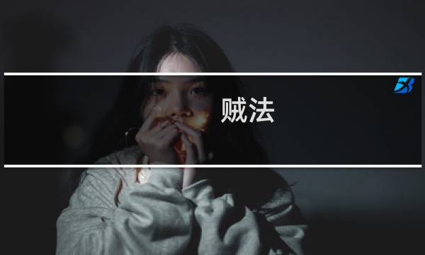 贼法 攻略