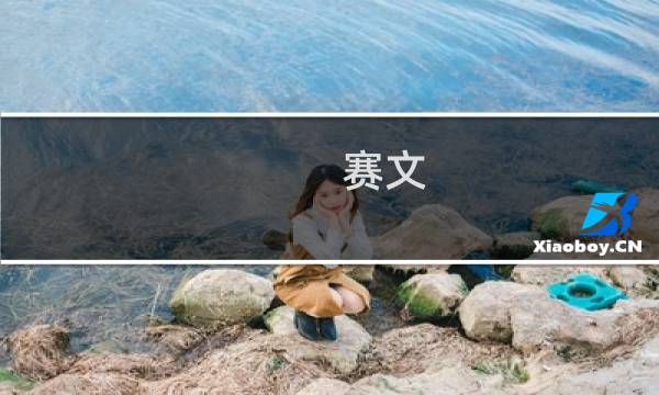 赛文 攻略