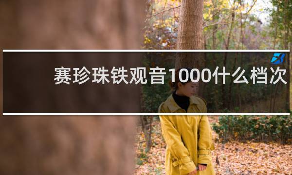 赛珍珠铁观音1000什么档次