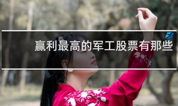 赢利最高的军工股票有那些