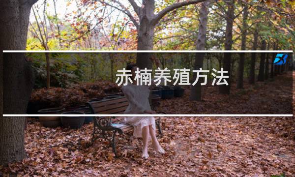 赤楠养殖方法