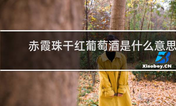 赤霞珠干红葡萄酒是什么意思