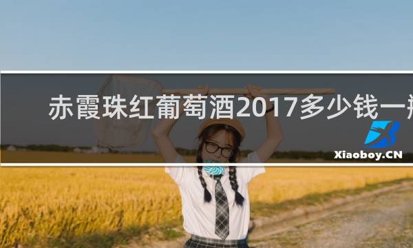 赤霞珠红葡萄酒2017多少钱一瓶