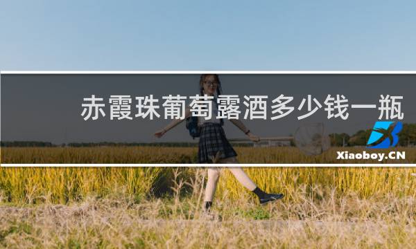 赤霞珠葡萄露酒多少钱一瓶