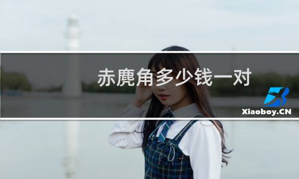 赤麂角多少钱一对