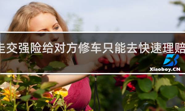 走交强险给对方修车只能去快速理赔中心吗