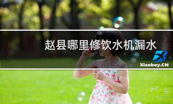 赵县哪里修饮水机漏水