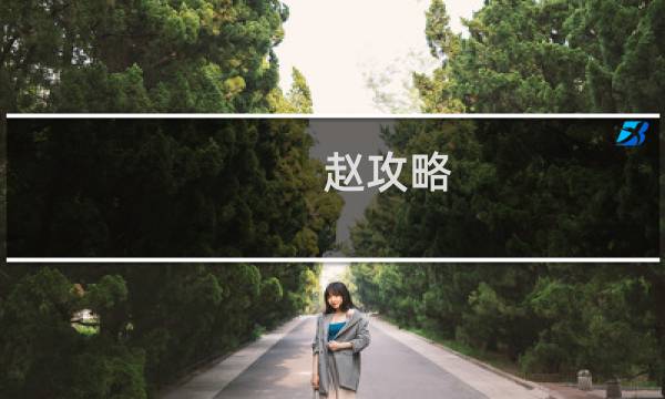 赵攻略