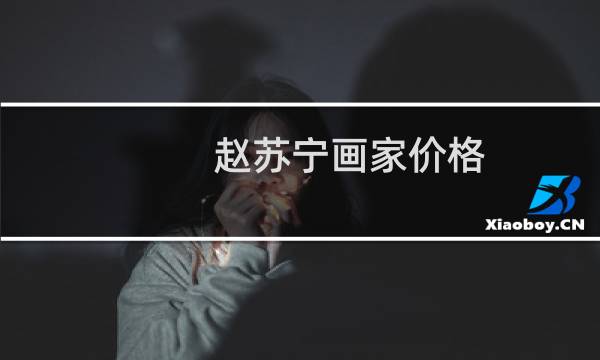 赵苏宁画家价格
