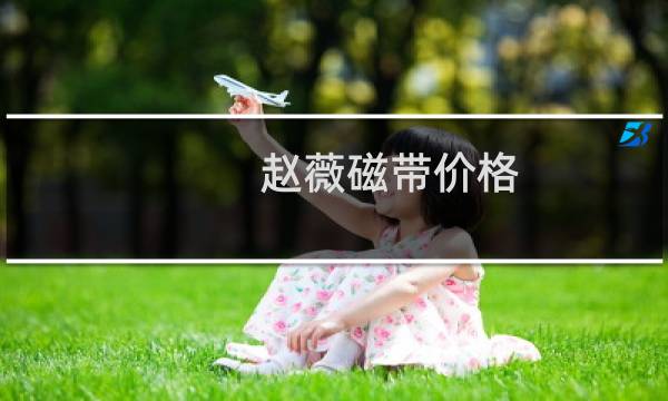 赵薇磁带价格