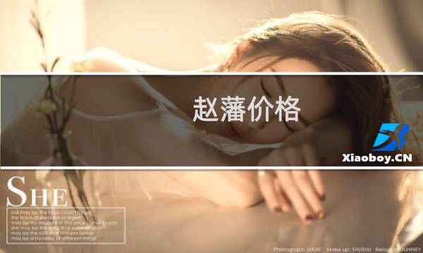 赵藩价格