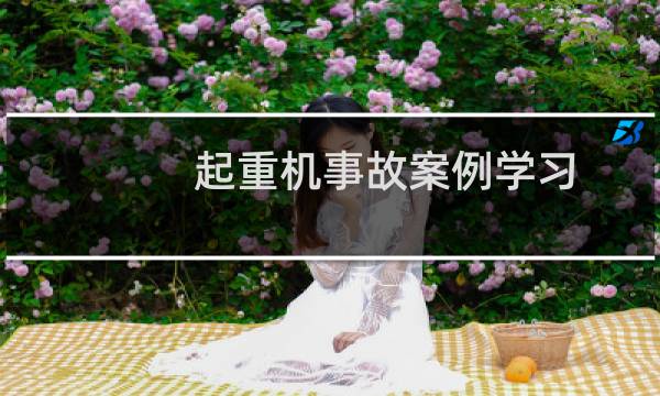 起重机事故案例学习