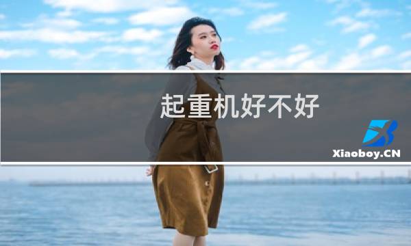 起重机好不好