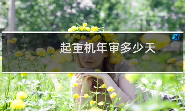 起重机年审多少天