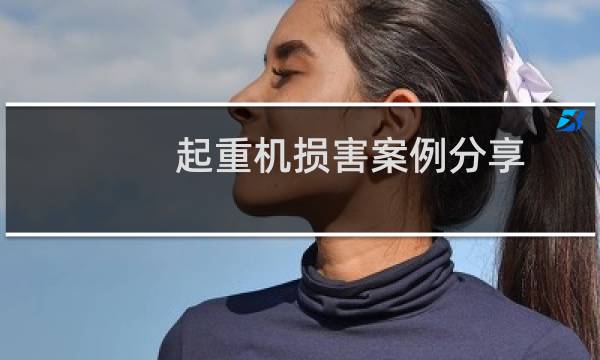 起重机损害案例分享