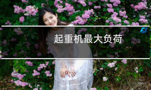 起重机最大负荷