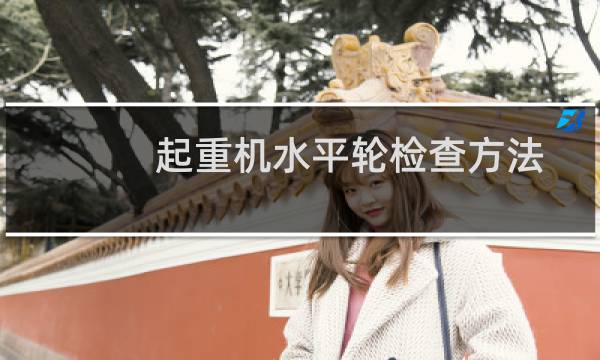 起重机水平轮检查方法