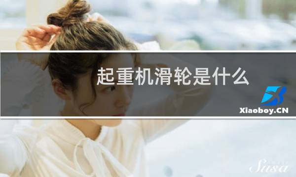 起重机滑轮是什么