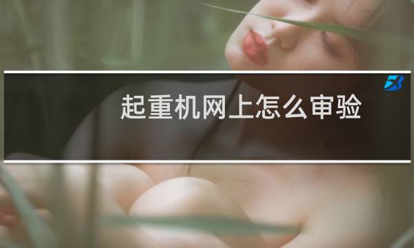 起重机网上怎么审验