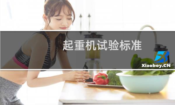 起重机试验标准
