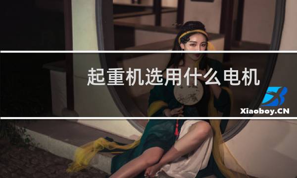 起重机选用什么电机