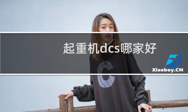 起重机dcs哪家好