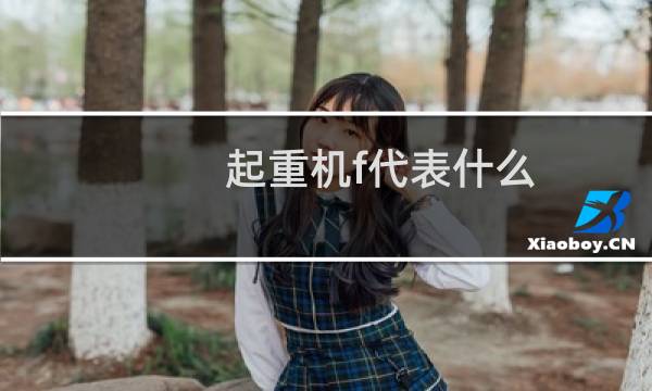 起重机f代表什么