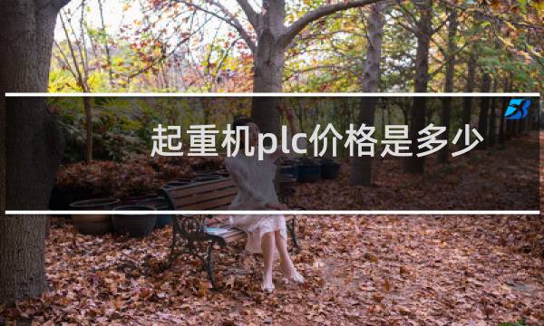 起重机plc价格是多少