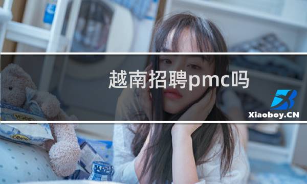 越南招聘pmc吗