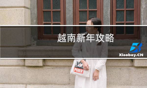 越南新年攻略