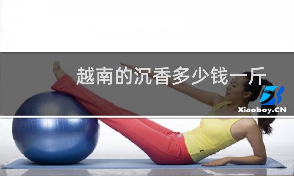 越南的沉香多少钱一斤