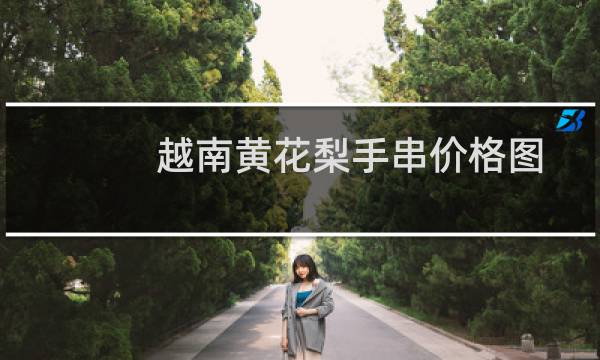 越南黄花梨手串价格图