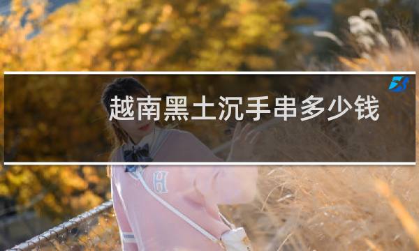 越南黑土沉手串多少钱