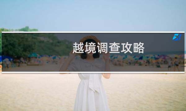 越境调查攻略