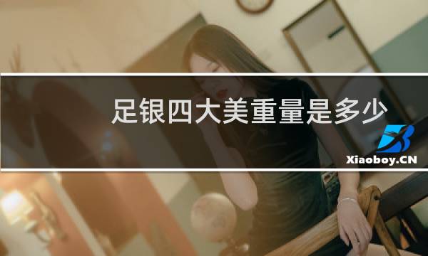 足银四大美重量是多少