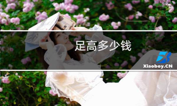 足高多少钱