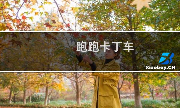 跑跑卡丁车   有多大