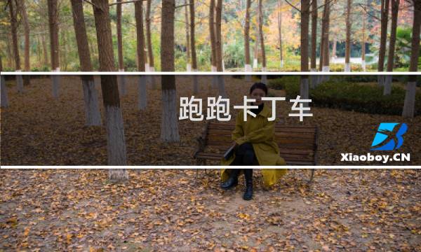 跑跑卡丁车 沙漠领主成就