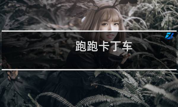 跑跑卡丁车 电脑选手