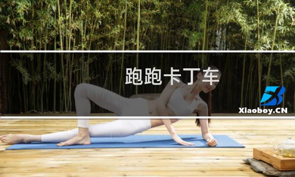 跑跑卡丁车 进化(evo)