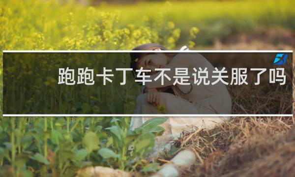 跑跑卡丁车不是说关服了吗